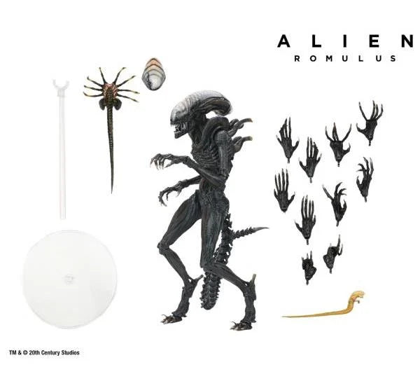 Alien: Romulus Ultimate Scorched Alien Xenomorph NECA