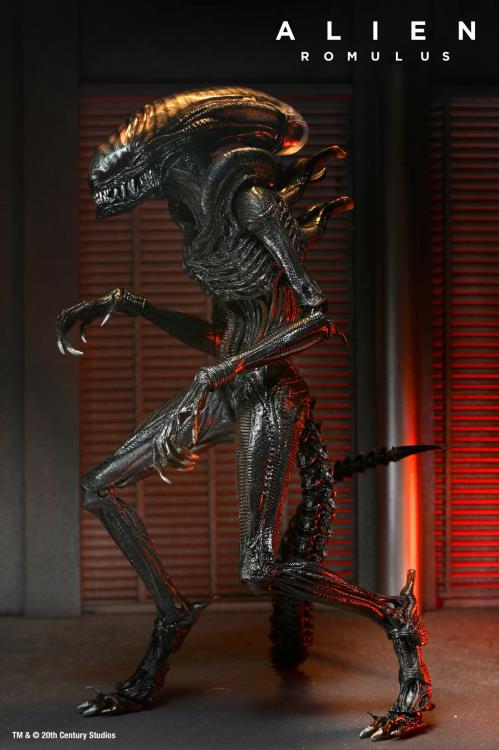 Alien: Romulus Ultimate Scorched Alien Xenomorph NECA
