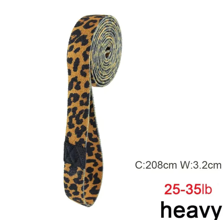 BANDA LARGA DE RESISTENCIA