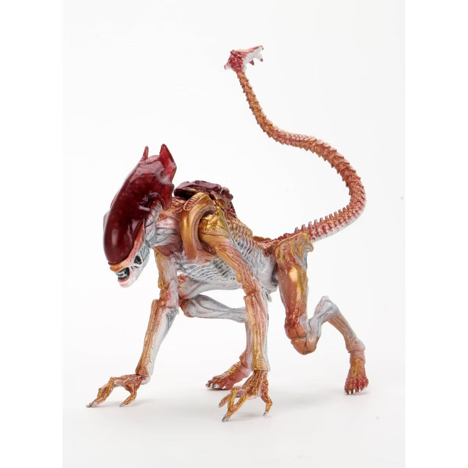 Aliens Kenner Tribute Panther Alien NECA