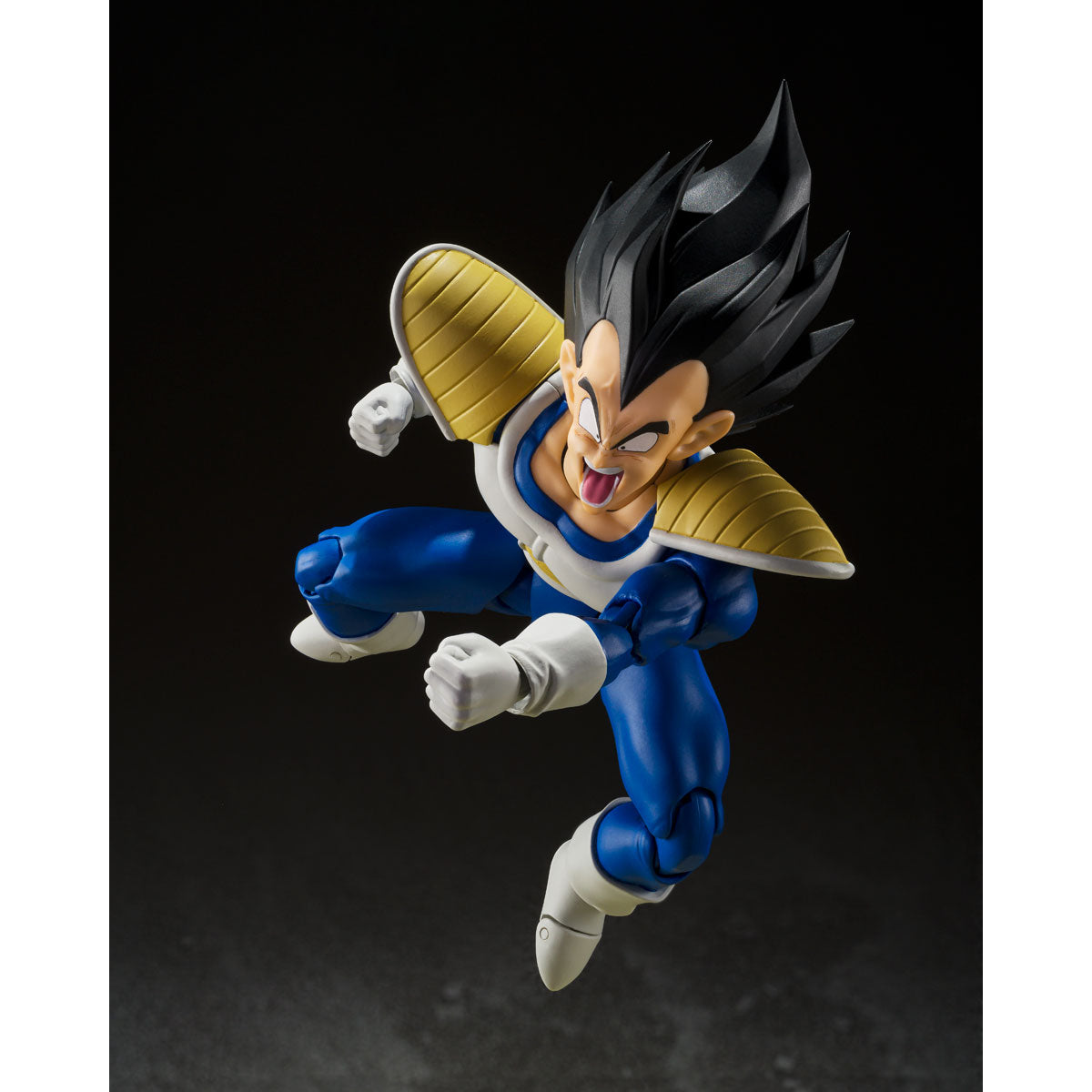 Dragon Ball Z VEGETA -24000 POWER LEVEL- S.H.Figuarts