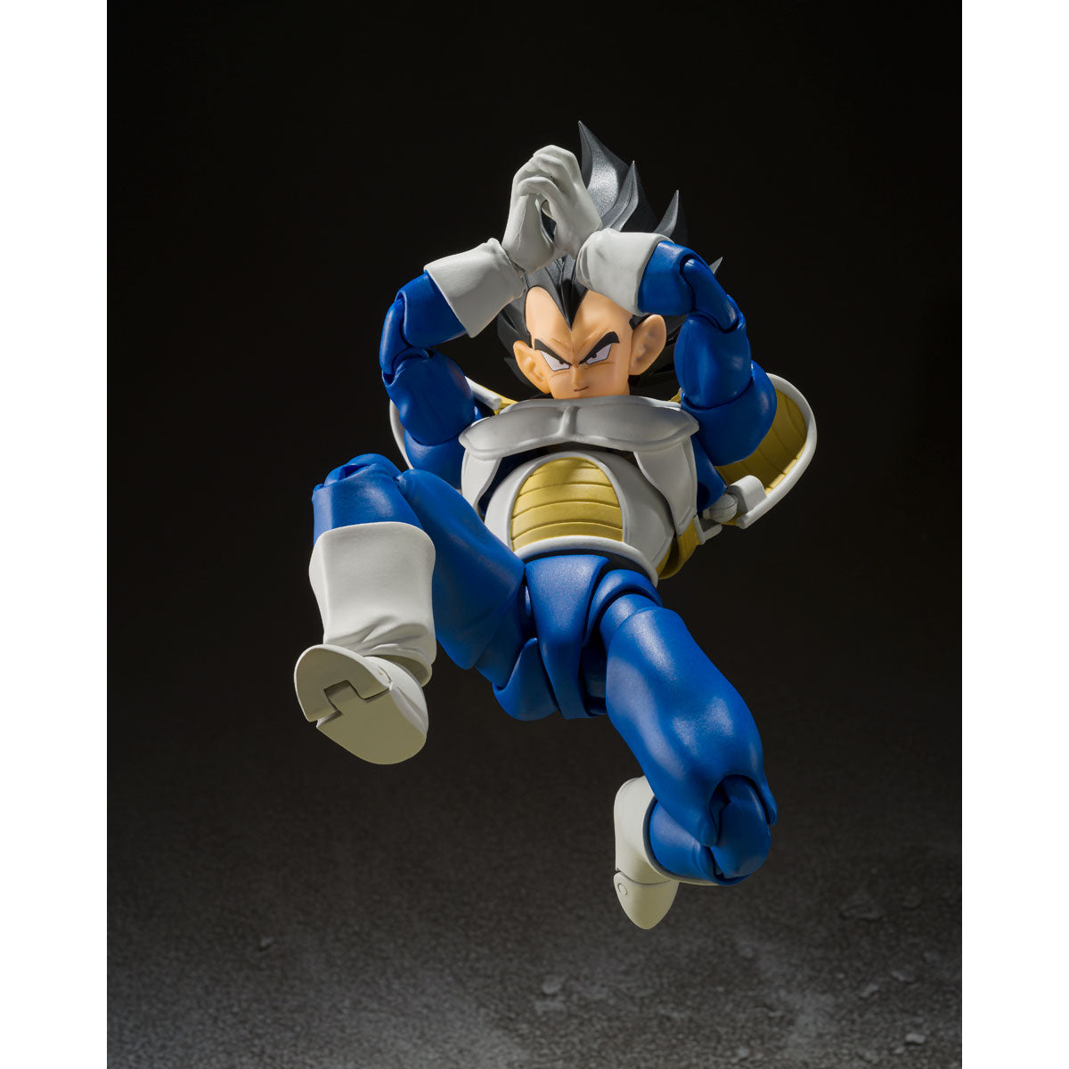 Dragon Ball Z VEGETA -24000 POWER LEVEL- S.H.Figuarts