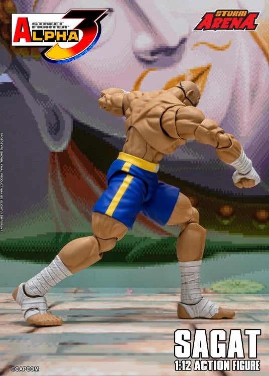 [Preventa] Street Fighter Alpha 3 Storm Arena Sagat Storm Collectibles
