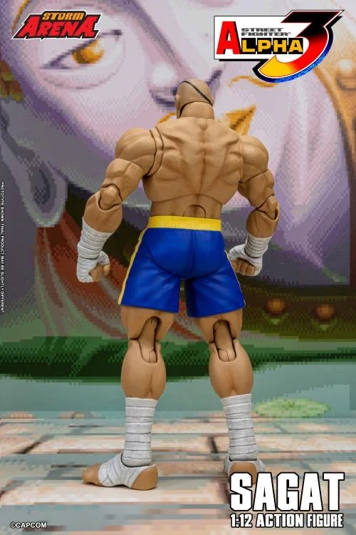 [Preventa] Street Fighter Alpha 3 Storm Arena Sagat Storm Collectibles