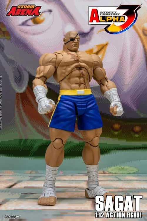 [Preventa] Street Fighter Alpha 3 Storm Arena Sagat Storm Collectibles