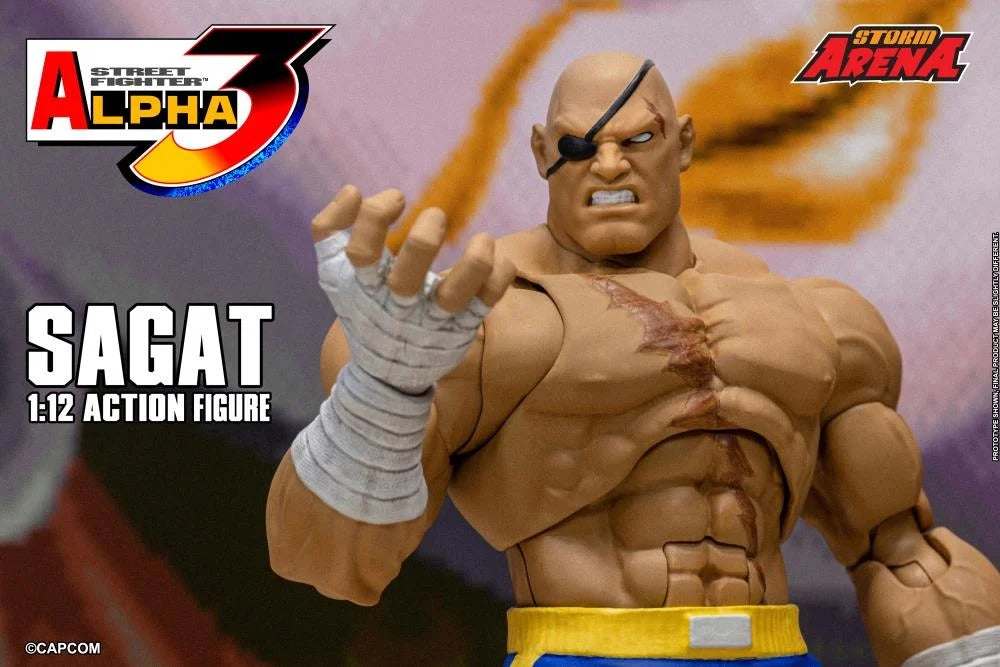 [Preventa] Street Fighter Alpha 3 Storm Arena Sagat Storm Collectibles