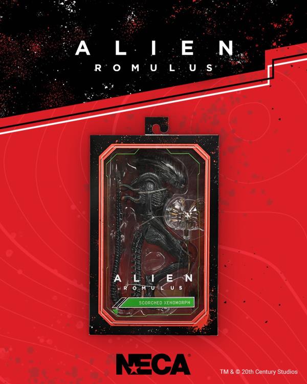 Alien: Romulus Ultimate Scorched Alien Xenomorph NECA