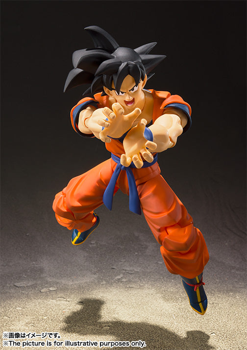 Dragon Ball Z SON GOKU A SAIYAN RAISED ON EARTH S.H.Figuarts (Re Stock)