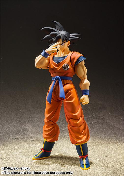 Dragon Ball Z SON GOKU A SAIYAN RAISED ON EARTH S.H.Figuarts (Re Stock)