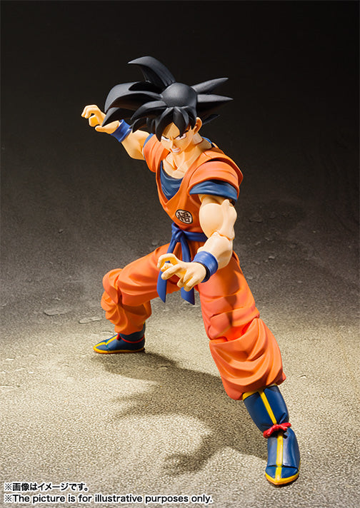 Dragon Ball Z SON GOKU A SAIYAN RAISED ON EARTH S.H.Figuarts (Re Stock)