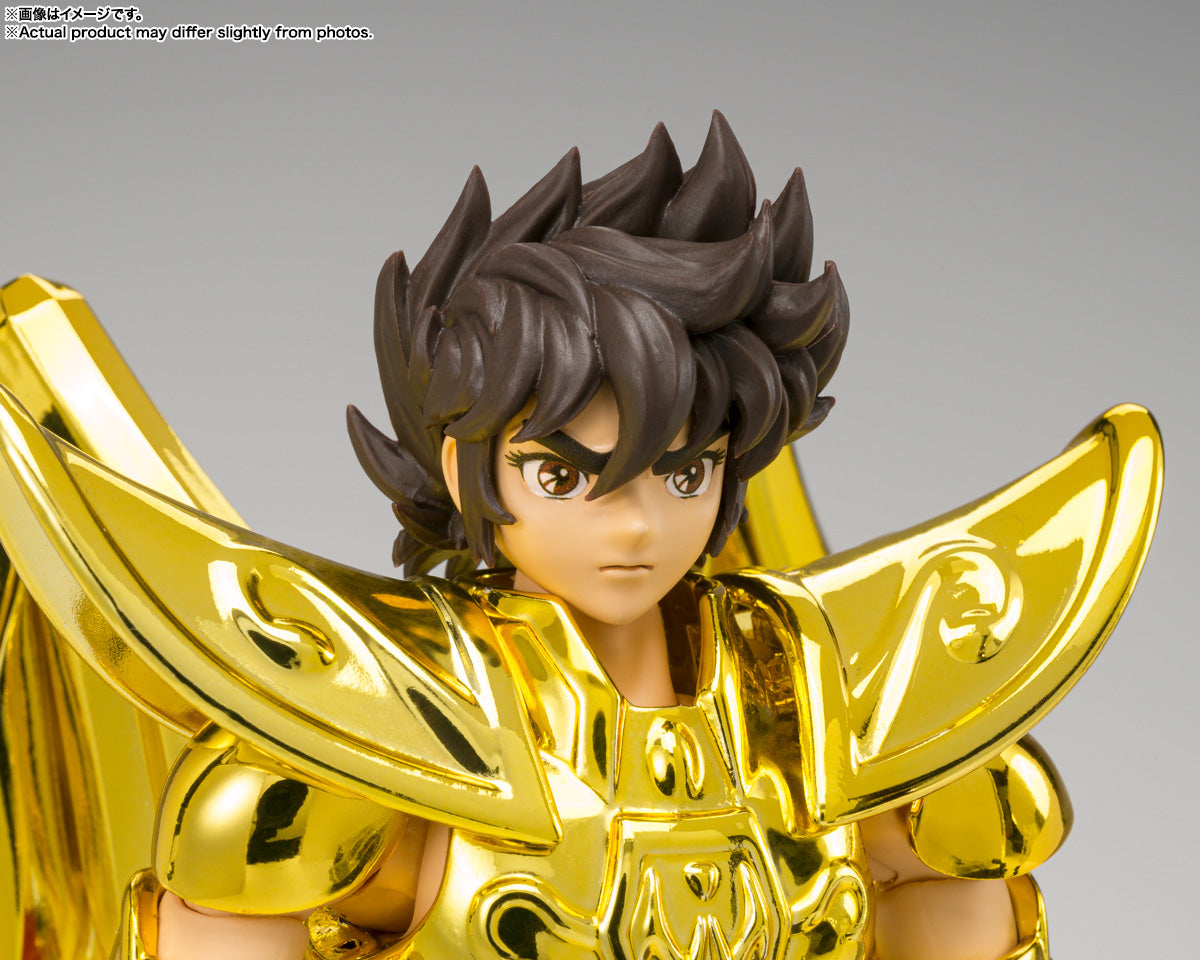 Saint Seiya Sagittarius Seiya (Inheritor of the Gold Cloth Ver.) Myth Cloth EX.