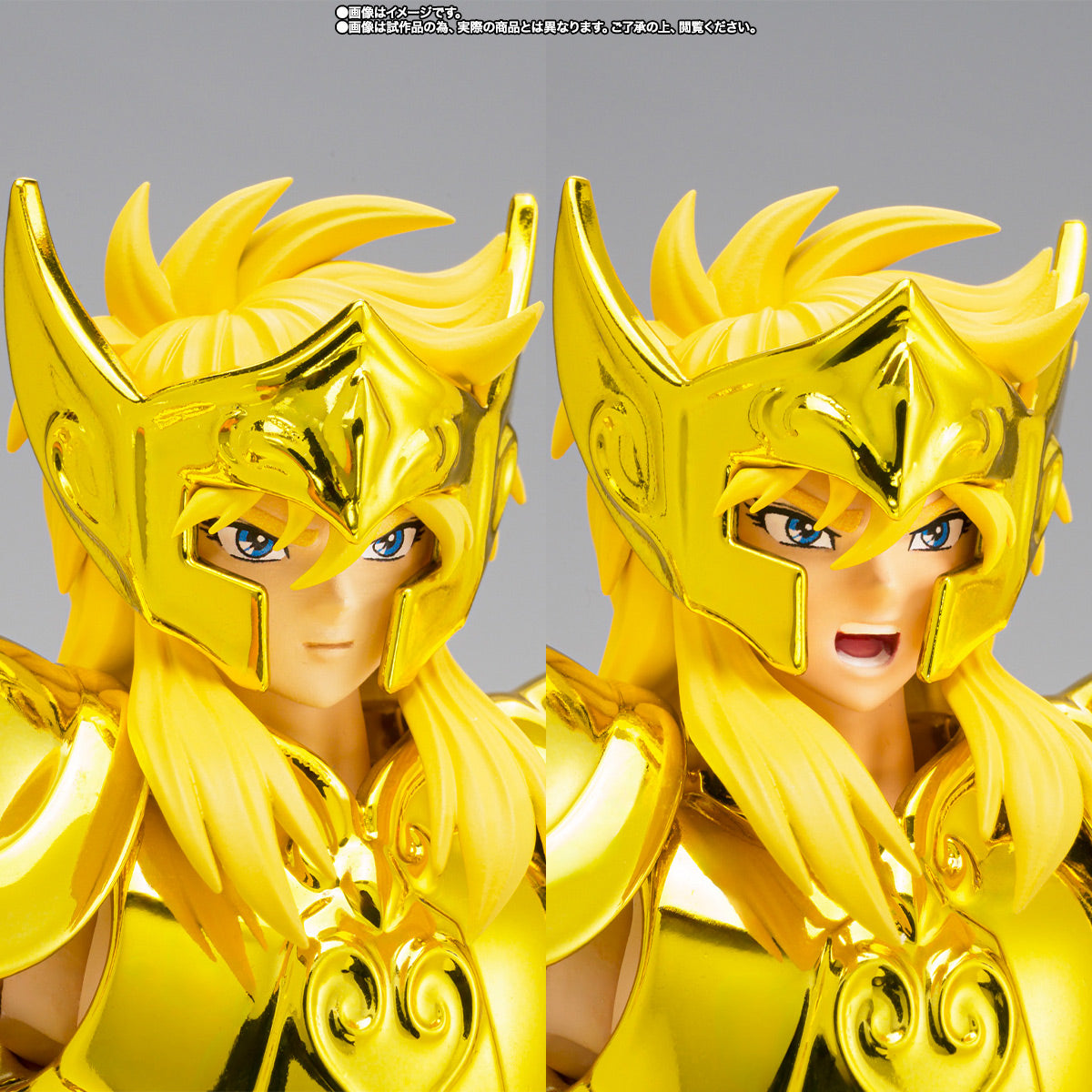 [Preventa] Saint Seiya Aquarius Hyoga Successor of the Golden Cloth Myth Cloth EX
