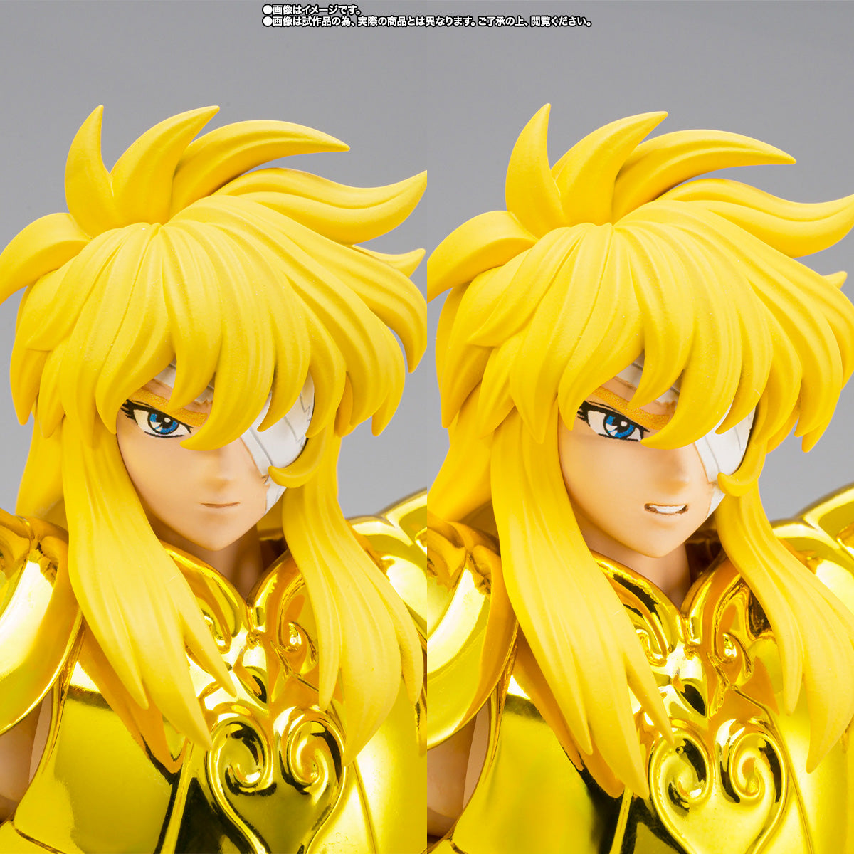 [Preventa] Saint Seiya Aquarius Hyoga Successor of the Golden Cloth Myth Cloth EX
