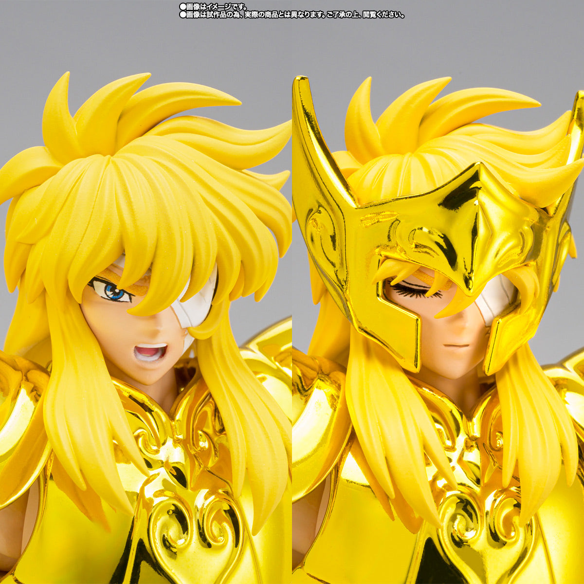 [Preventa] Saint Seiya Aquarius Hyoga Successor of the Golden Cloth Myth Cloth EX