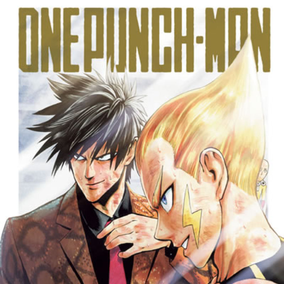 One Punch Man 14