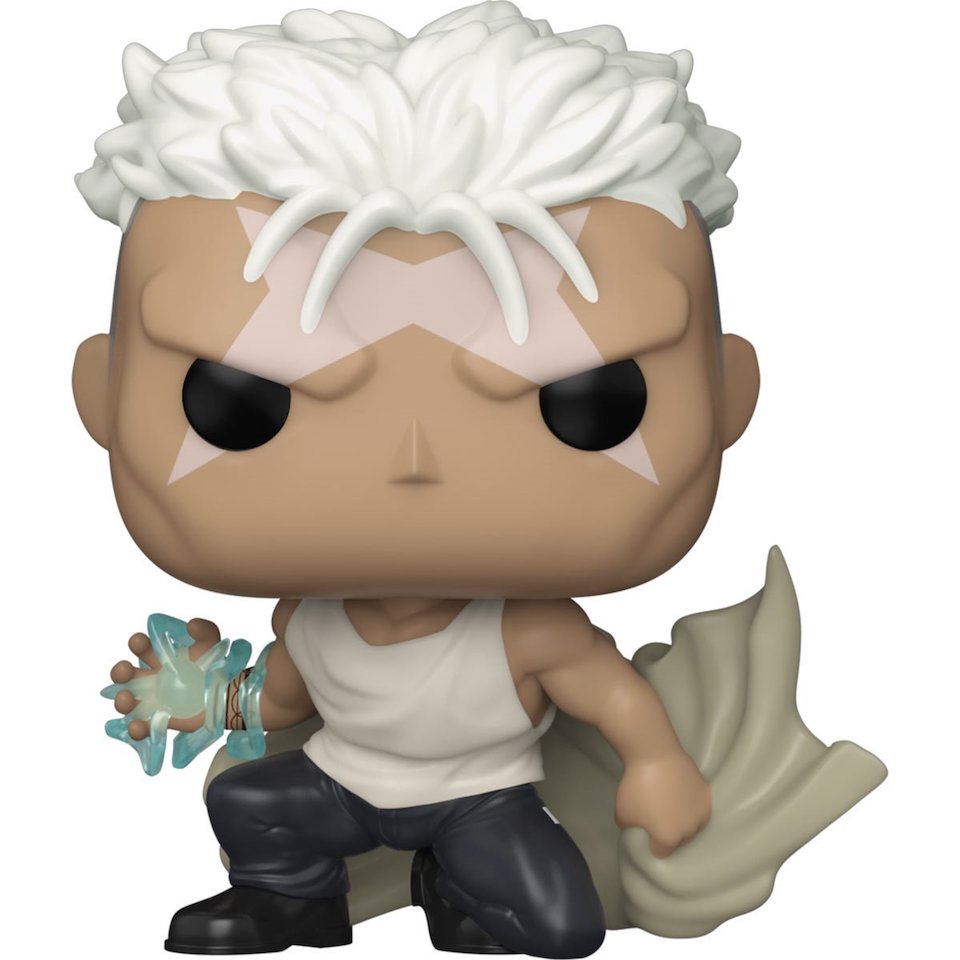 Fullmetal Alchemist Scar Pop! 1179